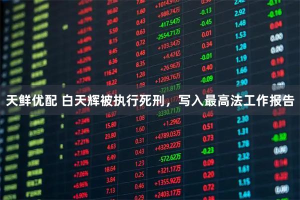天鲜优配 白天辉被执行死刑，写入最高法工作报告